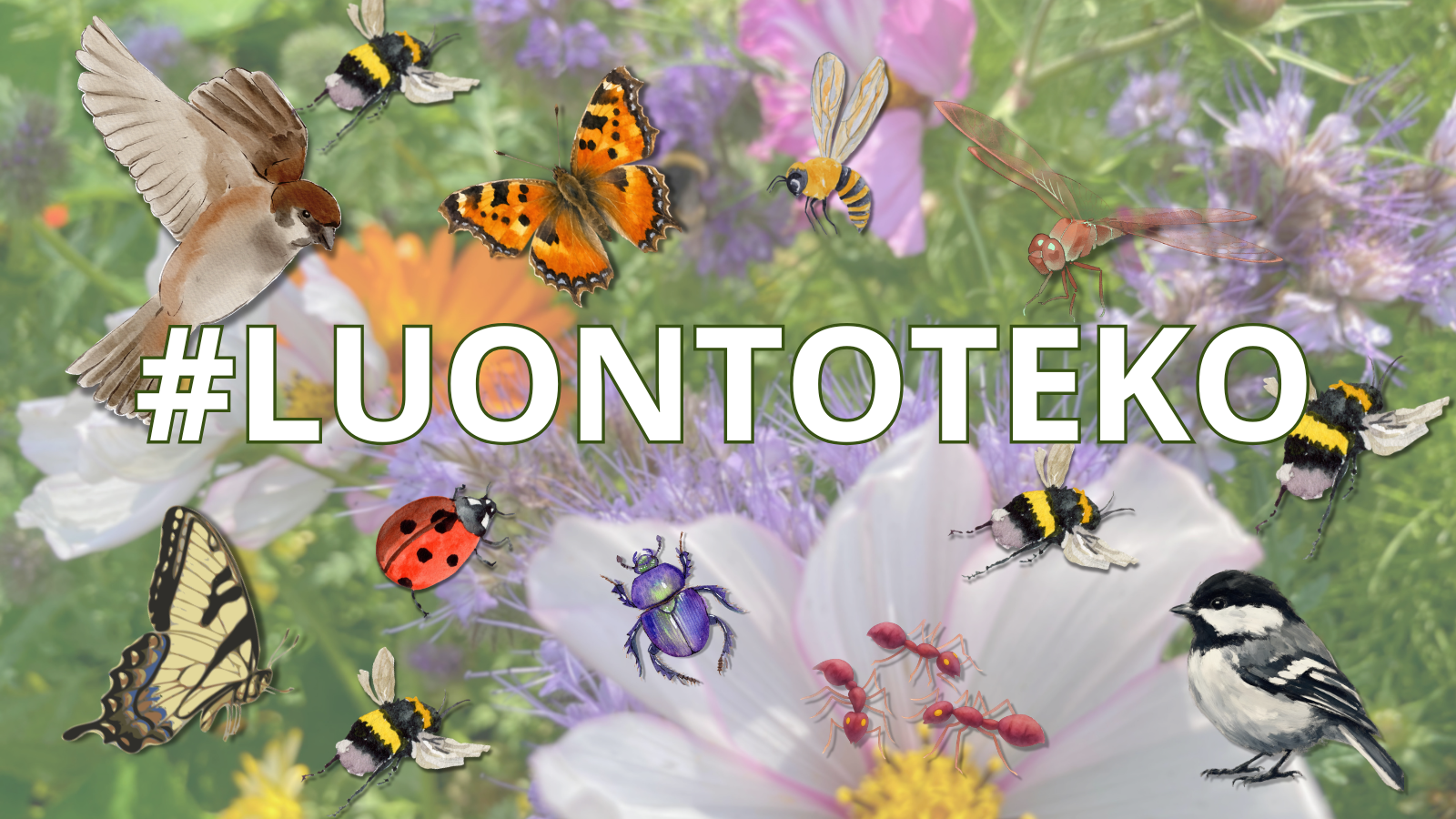 #LUONTOTEKO – Lasten ja nuorten luontotekohaaste alkaa! 